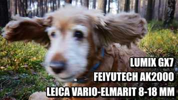 Free download Leica 8-18 mm + Feiyutech ak2000 + Lumix GX7 video and edit with RedcoolMedia movie maker MovieStudio video editor online and AudioStudio audio editor onlin