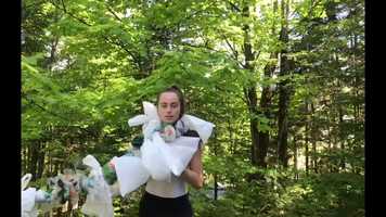 Free download Le messager de la couronne Trailer video and edit with RedcoolMedia movie maker MovieStudio video editor online and AudioStudio audio editor onlin