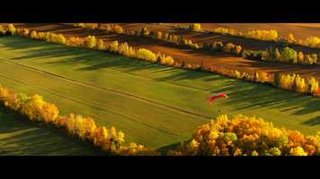 Free download Le Monde Dicitte - Saison 2 - Trailer video and edit with RedcoolMedia movie maker MovieStudio video editor online and AudioStudio audio editor onlin