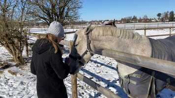 Free download Lena film video and edit with RedcoolMedia movie maker MovieStudio video editor online and AudioStudio audio editor onlin