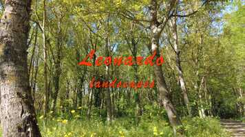 Free download Leonardo Landscapes video and edit with RedcoolMedia movie maker MovieStudio video editor online and AudioStudio audio editor onlin