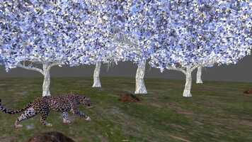 Free download Leopard_walk_to_trot video and edit with RedcoolMedia movie maker MovieStudio video editor online and AudioStudio audio editor onlin