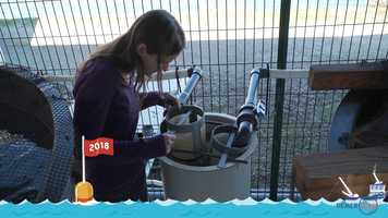 Free download Le projet DEMERSCAN video and edit with RedcoolMedia movie maker MovieStudio video editor online and AudioStudio audio editor onlin