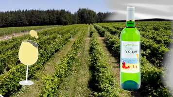 Free download LE PTIT BLANC DES VOISIN(S) NO MUSIC video and edit with RedcoolMedia movie maker MovieStudio video editor online and AudioStudio audio editor onlin