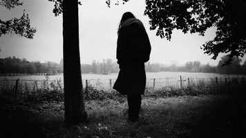 Free download Le Rve video and edit with RedcoolMedia movie maker MovieStudio video editor online and AudioStudio audio editor onlin