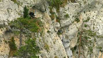 Free download Les Ailes du Vent Le Film video and edit with RedcoolMedia movie maker MovieStudio video editor online and AudioStudio audio editor onlin