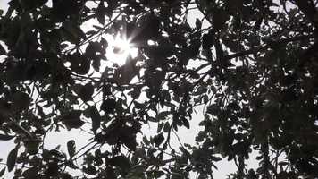 Free download Le silence  de la mosque - Aicha MACKY video and edit with RedcoolMedia movie maker MovieStudio video editor online and AudioStudio audio editor onlin