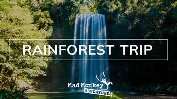 Free download LES ITINERANTES - Rainforest Tour video and edit with RedcoolMedia movie maker MovieStudio video editor online and AudioStudio audio editor onlin