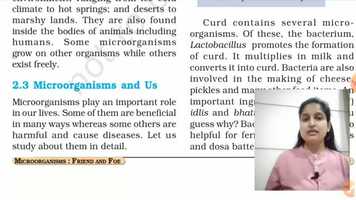 Free download Lesson-2_Part-2 video and edit with RedcoolMedia movie maker MovieStudio video editor online and AudioStudio audio editor onlin