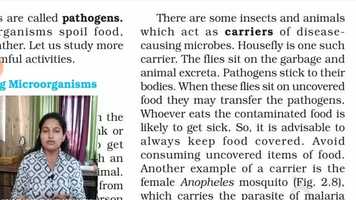 Free download Lesson-2_Part-4 video and edit with RedcoolMedia movie maker MovieStudio video editor online and AudioStudio audio editor onlin