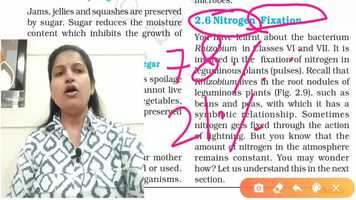 Free download Lesson 2 part 8 video and edit with RedcoolMedia movie maker MovieStudio video editor online and AudioStudio audio editor onlin