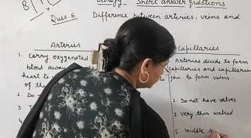 Free download Lesson 3 video and edit with RedcoolMedia movie maker MovieStudio video editor online and AudioStudio audio editor onlin