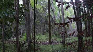 Free download Lessons Learned from Aloha Adventure Farms video and edit with RedcoolMedia movie maker MovieStudio video editor online and AudioStudio audio editor onlin