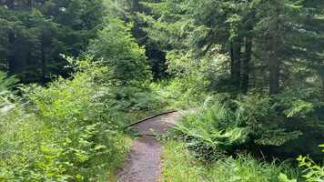 Free download Lets Go Back Soon video and edit with RedcoolMedia movie maker MovieStudio video editor online and AudioStudio audio editor onlin