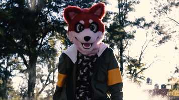 Free download Let There Be Light | Furry Trash IDs - Zaki C. | video and edit with RedcoolMedia movie maker MovieStudio video editor online and AudioStudio audio editor onlin