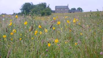 Free download Let us turn to our poets windows video and edit with RedcoolMedia movie maker MovieStudio video editor online and AudioStudio audio editor onlin