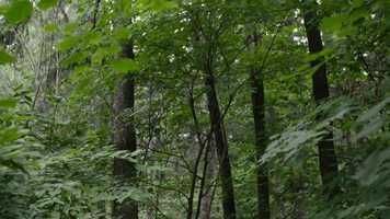 Free download LE VIEIL GE ET LESPRANCE - Bande annonce video and edit with RedcoolMedia movie maker MovieStudio video editor online and AudioStudio audio editor onlin