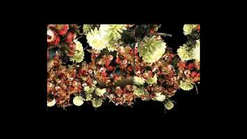 Free download Levis Music Project video and edit with RedcoolMedia movie maker MovieStudio video editor online and AudioStudio audio editor onlin