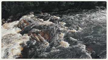 Free download Lewis River Lodge video and edit with RedcoolMedia movie maker MovieStudio video editor online and AudioStudio audio editor onlin