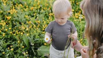 Free download LiamLindaDavid video and edit with RedcoolMedia movie maker MovieStudio video editor online and AudioStudio audio editor onlin