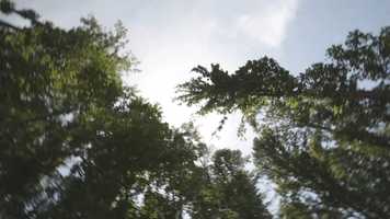 Free download LIBERTY FOOTBALL | CAMPUS video and edit with RedcoolMedia movie maker MovieStudio video editor online and AudioStudio audio editor onlin