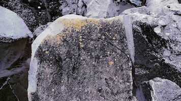 Free download Lichen_compressed.mp4 video and edit with RedcoolMedia movie maker MovieStudio video editor online and AudioStudio audio editor onlin