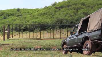 Free download LiDAR technology helping to protect endangered Elephants in Kenya video and edit with RedcoolMedia movie maker MovieStudio video editor online and AudioStudio audio editor onlin