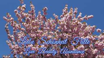 Free download Liebe Schnheit Flle  Love Beauty Abundance video and edit with RedcoolMedia movie maker MovieStudio video editor online and AudioStudio audio editor onlin