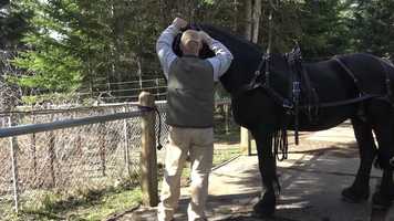 Free download Life in the fast lane with Fred video and edit with RedcoolMedia movie maker MovieStudio video editor online and AudioStudio audio editor onlin