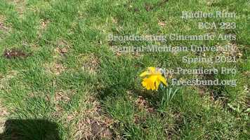 Free download Life is Beautiful - Film Demo video and edit with RedcoolMedia movie maker MovieStudio video editor online and AudioStudio audio editor onlin