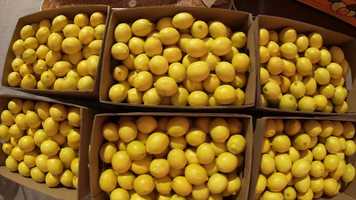 Free download Life is Beautiful Music  Art Festival video and edit with RedcoolMedia movie maker MovieStudio video editor online and AudioStudio audio editor onlin