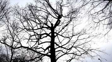 Free download LifeLess video and edit with RedcoolMedia movie maker MovieStudio video editor online and AudioStudio audio editor onlin