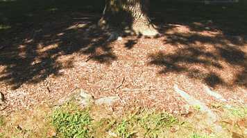 Free download Life on Campus video and edit with RedcoolMedia movie maker MovieStudio video editor online and AudioStudio audio editor onlin