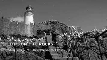 Free download Life on the Rocks Finalist Trailer video and edit with RedcoolMedia movie maker MovieStudio video editor online and AudioStudio audio editor onlin