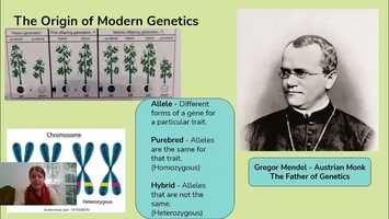 Free download LIFE SCIENCE WEEK 8 OCTOBER 7TH video and edit with RedcoolMedia movie maker MovieStudio video editor online and AudioStudio audio editor onlin