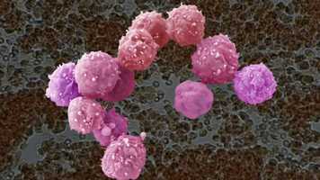 Free download LifeWave X39 Product Video - English video and edit with RedcoolMedia movie maker MovieStudio video editor online and AudioStudio audio editor onlin