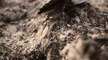 Free download Life With No Body - Fashion Film video and edit with RedcoolMedia movie maker MovieStudio video editor online and AudioStudio audio editor onlin