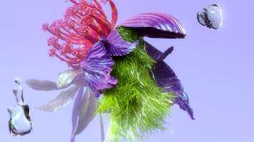 Free download Light Arc- Stranger Spring Animation video and edit with RedcoolMedia movie maker MovieStudio video editor online and AudioStudio audio editor onlin