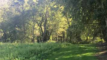 Free download light of the world movie 2 video and edit with RedcoolMedia movie maker MovieStudio video editor online and AudioStudio audio editor onlin