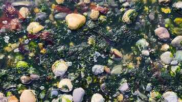 Free download Lights Up by Harry Styles (Music Video starring AZURE) video and edit with RedcoolMedia movie maker MovieStudio video editor online and AudioStudio audio editor onlin