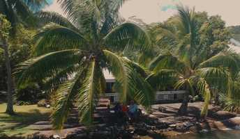 Free download Light the World original music video and edit with RedcoolMedia movie maker MovieStudio video editor online and AudioStudio audio editor onlin