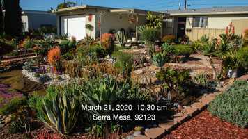 Free download Lillys Garden video and edit with RedcoolMedia movie maker MovieStudio video editor online and AudioStudio audio editor onlin