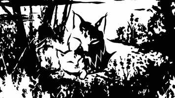 Free download Lince Ibrico - Iberian Lynx (trailer for series episode) video and edit with RedcoolMedia movie maker MovieStudio video editor online and AudioStudio audio editor onlin