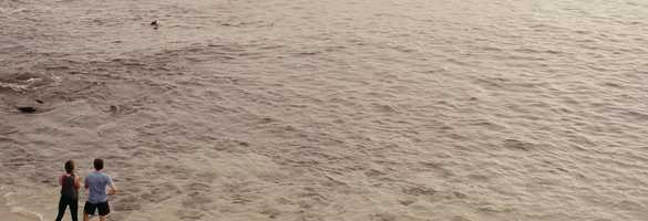 Free download lindsey + corey // teaser film video and edit with RedcoolMedia movie maker MovieStudio video editor online and AudioStudio audio editor onlin