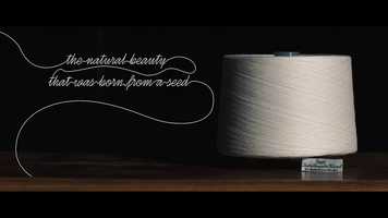 Free download LINIFICIO E CANAPIFICIO NAZIONALE - Corporate Film video and edit with RedcoolMedia movie maker MovieStudio video editor online and AudioStudio audio editor onlin