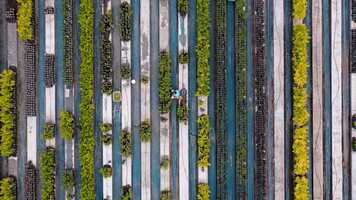 Free download LionAiles - Spread your wings (Trailer Drone) video and edit with RedcoolMedia movie maker MovieStudio video editor online and AudioStudio audio editor onlin