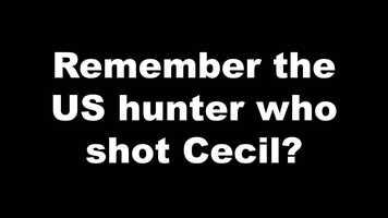 Free download lion con film.mp4 video and edit with RedcoolMedia movie maker MovieStudio video editor online and AudioStudio audio editor onlin