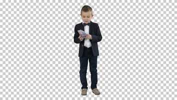 Free download Little Boy in A Suit Counting Money | Stock Footage - Videohive video and edit with RedcoolMedia movie maker MovieStudio video editor online and AudioStudio audio editor onlin