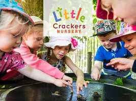 Free download Little Crackers Nursery video and edit with RedcoolMedia movie maker MovieStudio video editor online and AudioStudio audio editor onlin