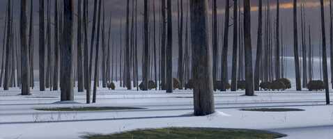 Free download LittleOx_Trailer_01 video and edit with RedcoolMedia movie maker MovieStudio video editor online and AudioStudio audio editor onlin